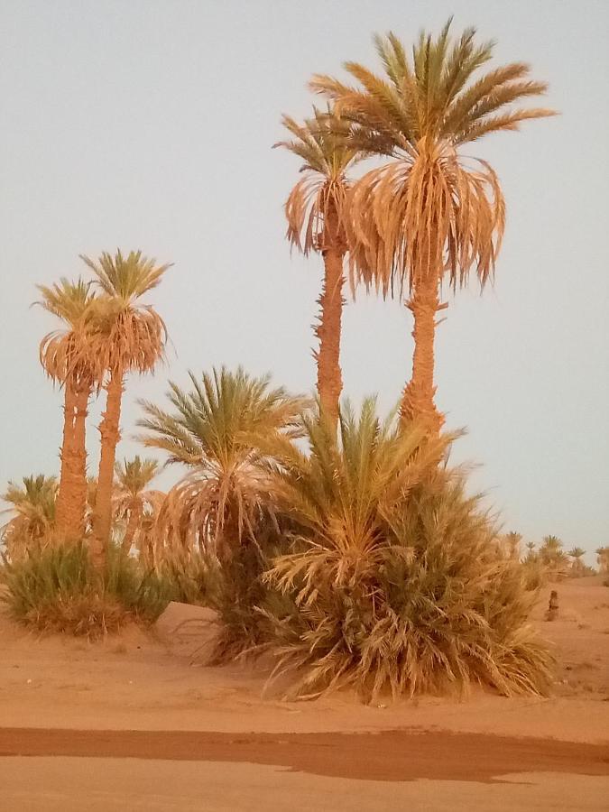 Sahara Peace Camp Hotel Загора Екстериор снимка