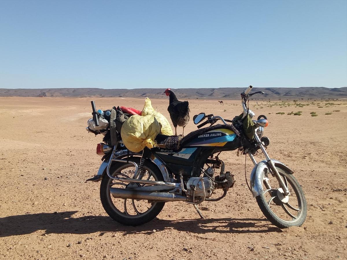 Sahara Peace Camp Hotel Загора Екстериор снимка