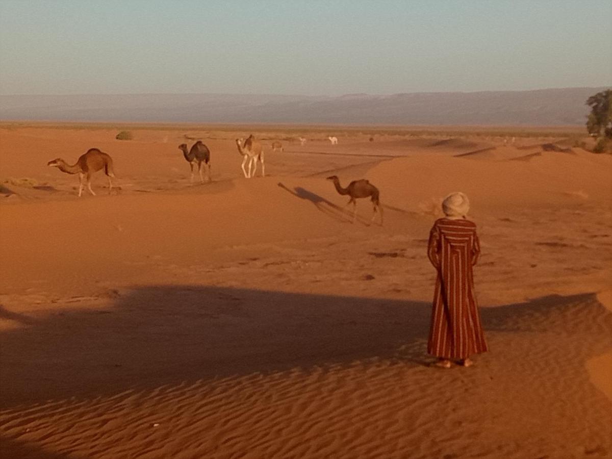 Sahara Peace Camp Hotel Загора Екстериор снимка
