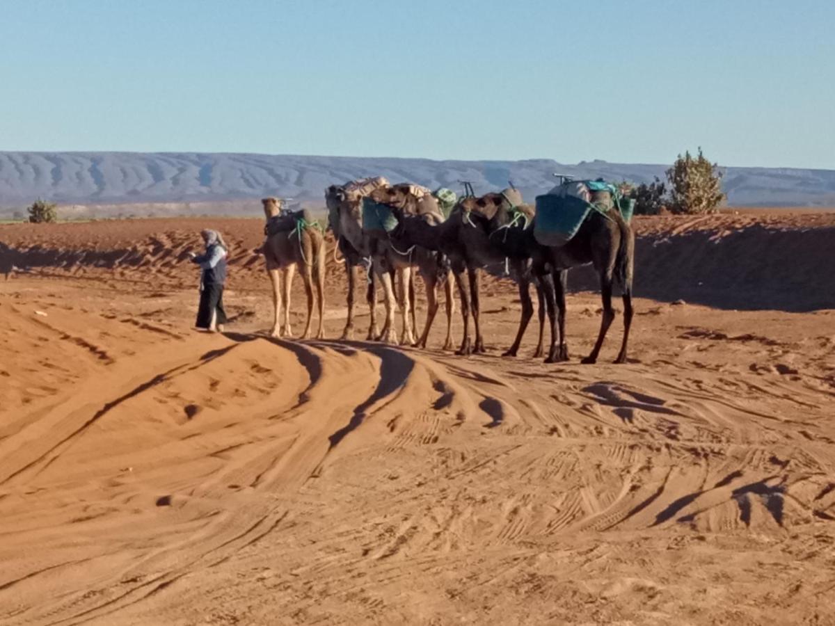 Sahara Peace Camp Hotel Загора Екстериор снимка