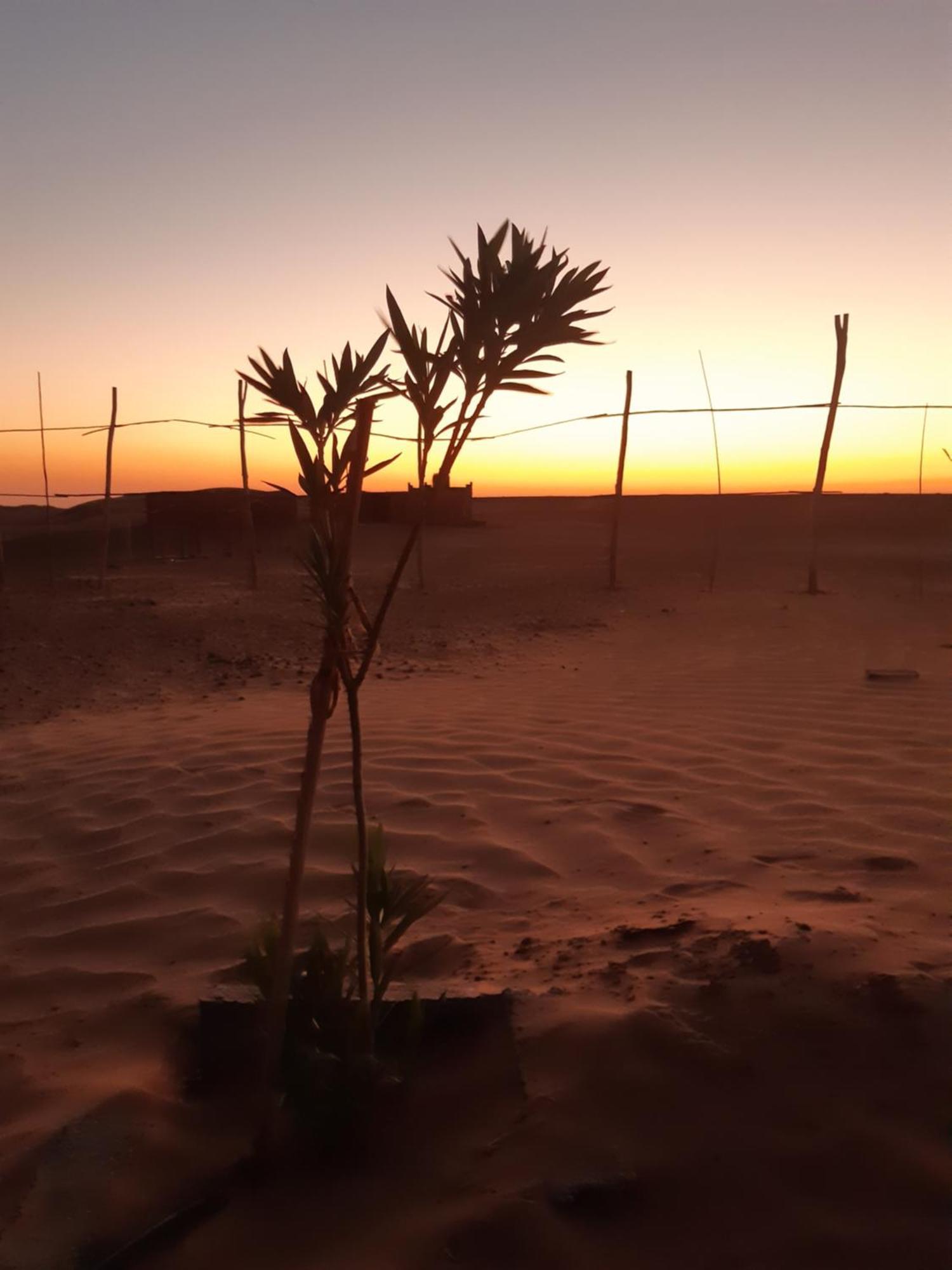 Sahara Peace Camp Hotel Загора Екстериор снимка